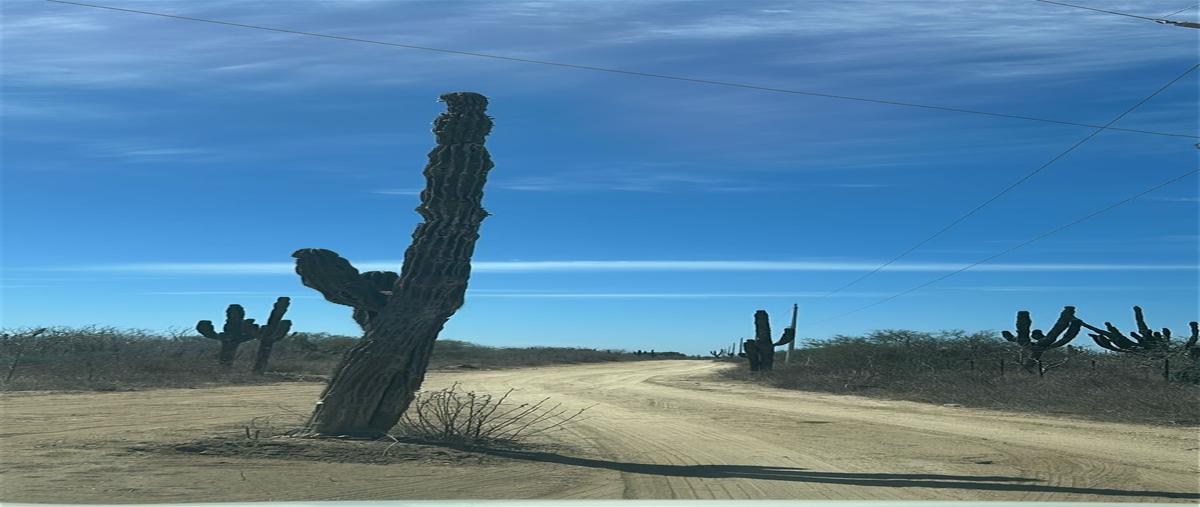Foto de terreno habitacional en venta en fracciónamiento camprestre, granjas familiares de la paz , el carrizal, la paz, baja california sur, 29447310 No. 03