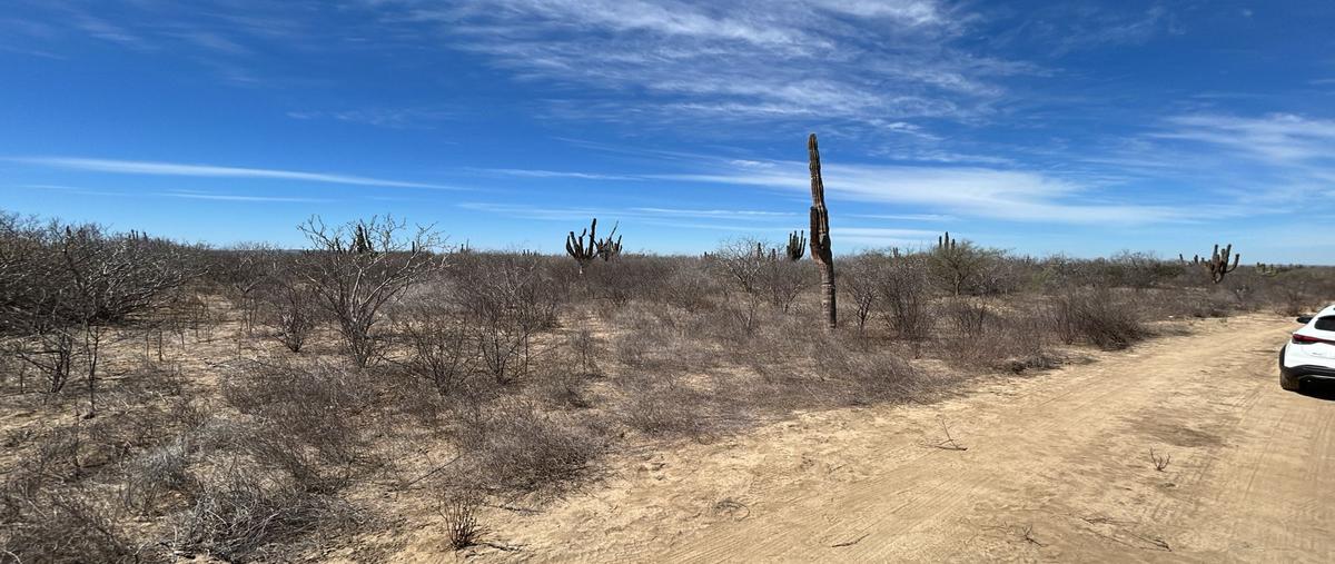 Foto de terreno habitacional en venta en fracciónamiento camprestre, granjas familiares de la paz , el carrizal, la paz, baja california sur, 29447310 No. 04