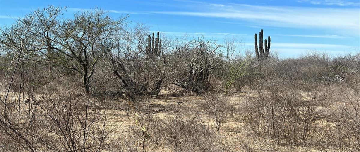 Foto de terreno habitacional en venta en fracciónamiento camprestre, granjas familiares de la paz , el carrizal, la paz, baja california sur, 29447310 No. 05