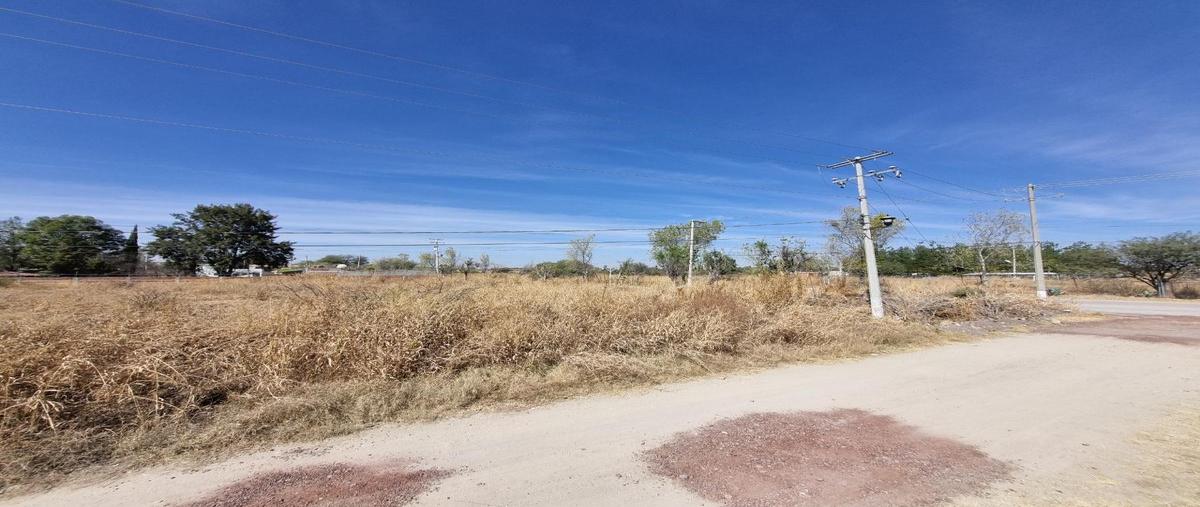 Foto de terreno habitacional en venta en  , fraccionamiento colinas del sur, silao de la victoria, guanajuato, 0 No. 04