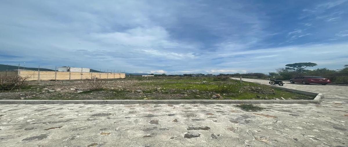 Foto de terreno habitacional en fraccionamiento el chaparral , tenango (santa ana), jantetelco, morelos, 25187425 foto 05 Foto de terreno habitacional en venta en fraccionamiento el chaparral , tenango (santa ana), jantetelco, morelos, 25187425 No. 05