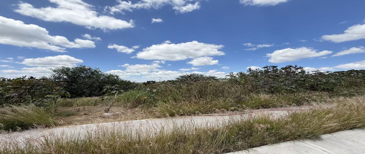 Foto de terreno habitacional en venta en fraccionamiento el encino , el peral, huimilpan, querétaro, 0 No. 03