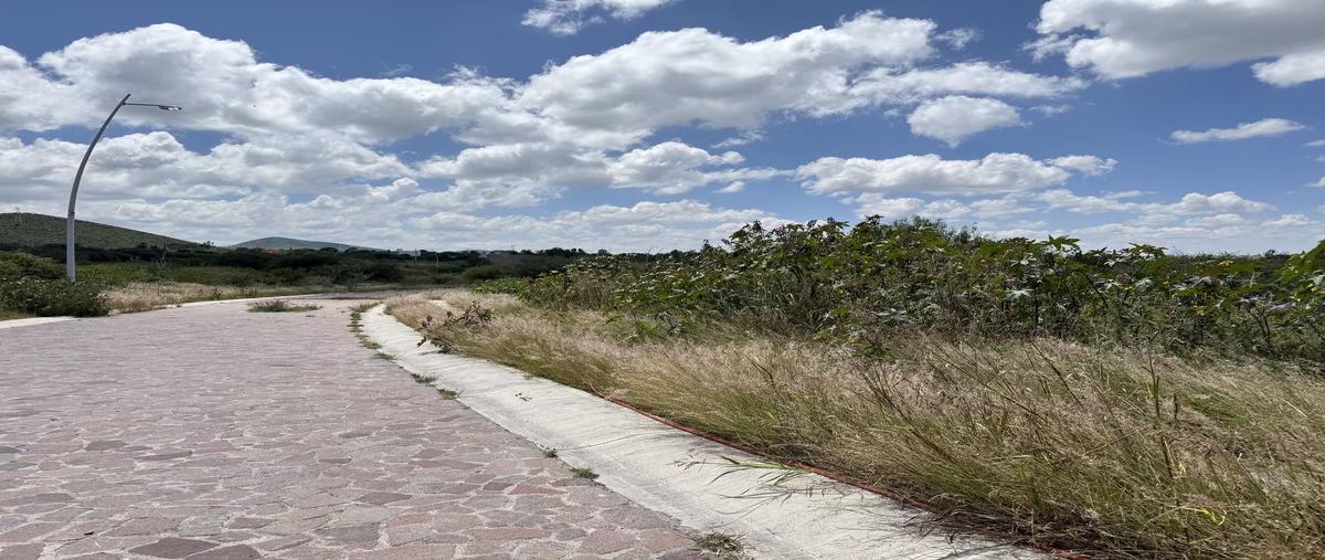 Foto de terreno habitacional en venta en fraccionamiento el encino , el peral, huimilpan, querétaro, 0 No. 04