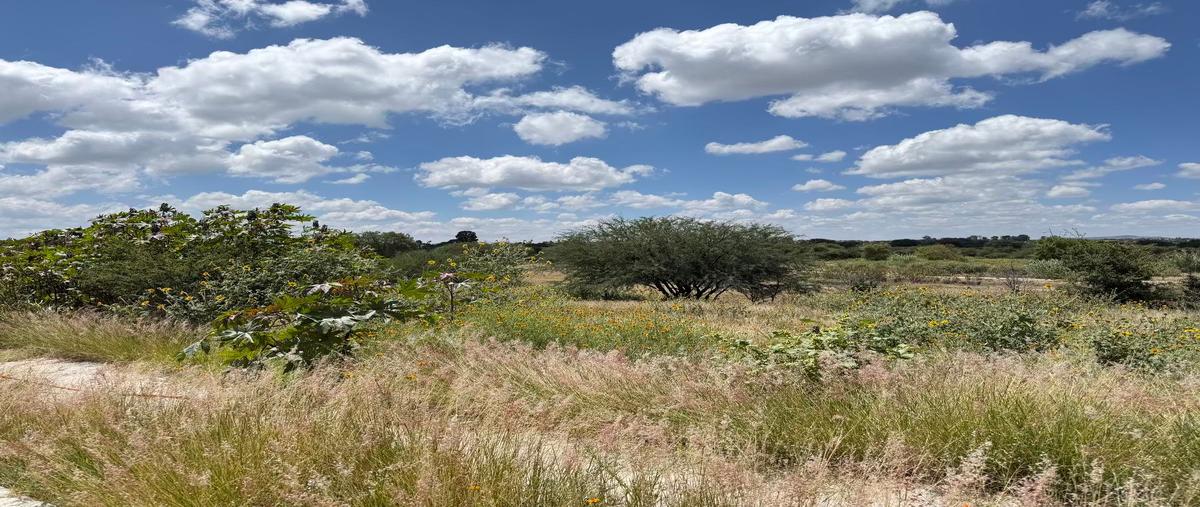 Foto de terreno habitacional en venta en fraccionamiento el encino , el peral, huimilpan, querétaro, 30392742 No. 05