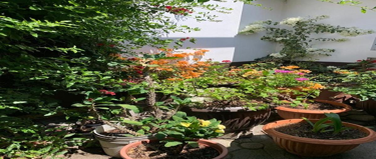 Foto de casa en venta en fraccionamiento el mirador , el mirador, uruapan, michoacán de ocampo, 29480246 No. 05