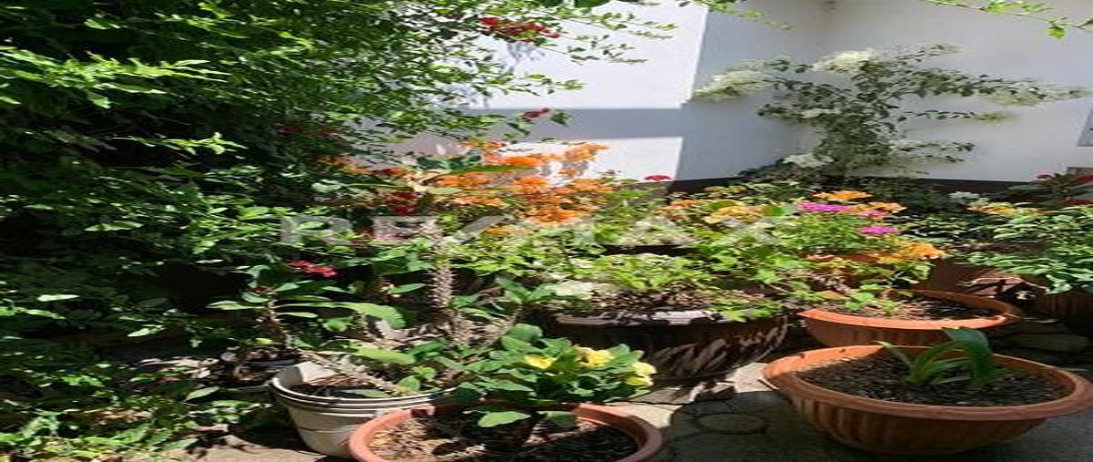Foto de casa en venta en fraccionamiento el mirador , el mirador, uruapan, michoacán de ocampo, 0 No. 05