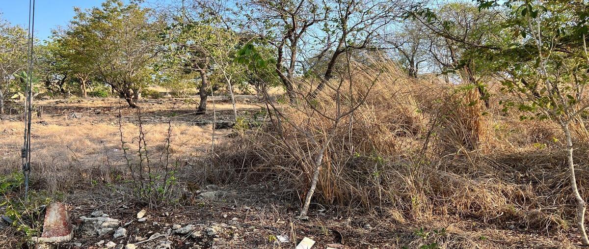 Foto de terreno habitacional en fraccionamiento guadalupe country , plan de ayala, tuxtla gutiérrez, chiapas, 26513249 foto 03 Foto de terreno habitacional en venta en fraccionamiento guadalupe country , plan de ayala, tuxtla gutiérrez, chiapas, 26513249 No. 03