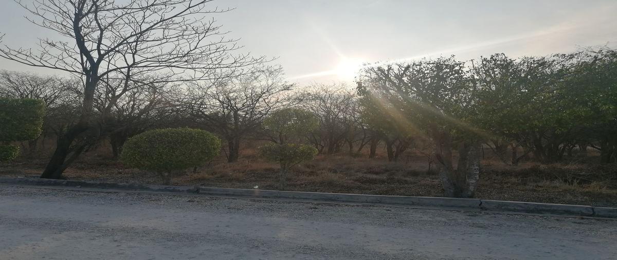 Foto de terreno habitacional en fraccionamiento guadalupe country , plan de ayala, tuxtla gutiérrez, chiapas, 26513249 foto 05 Foto de terreno habitacional en venta en fraccionamiento guadalupe country , plan de ayala, tuxtla gutiérrez, chiapas, 26513249 No. 05