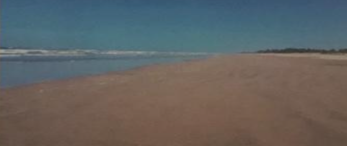 Foto de terreno habitacional en fraccionamiento isla novillero , novillero, tecuala, nayarit, 0 foto 03 Foto de terreno habitacional en venta en fraccionamiento isla novillero , novillero, tecuala, nayarit, 0 No. 03