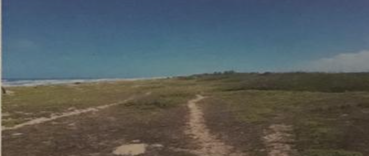 Foto de terreno habitacional en fraccionamiento isla novillero , novillero, tecuala, nayarit, 0 foto 05 Foto de terreno habitacional en venta en fraccionamiento isla novillero , novillero, tecuala, nayarit, 0 No. 05