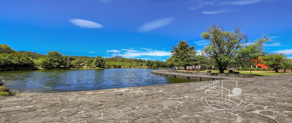 Foto de terreno habitacional en venta en fraccionamiento izar villa , cuadrilla de dolores, valle de bravo, méxico, 0 No. 03