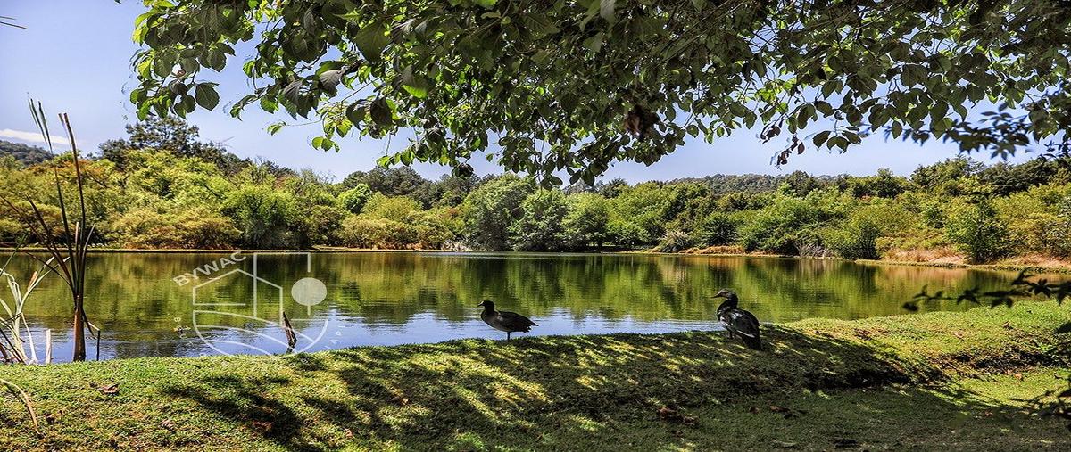 Foto de terreno habitacional en venta en fraccionamiento izar villa , cuadrilla de dolores, valle de bravo, méxico, 0 No. 04