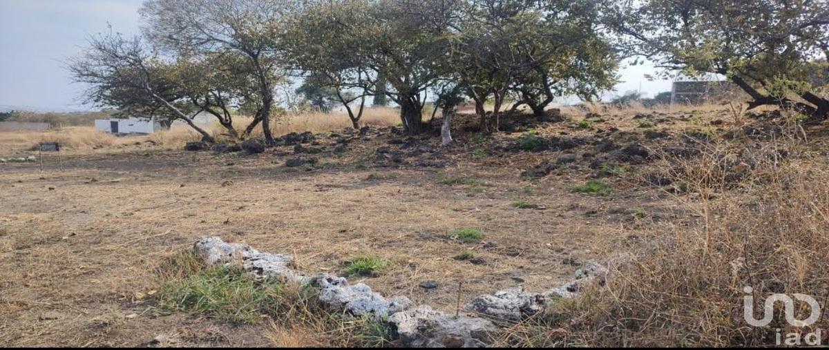 Foto de terreno habitacional en venta en fraccionamiento joyas de tlayacapan , tlayacapan centro, tlayacapan, morelos, 0 No. 04