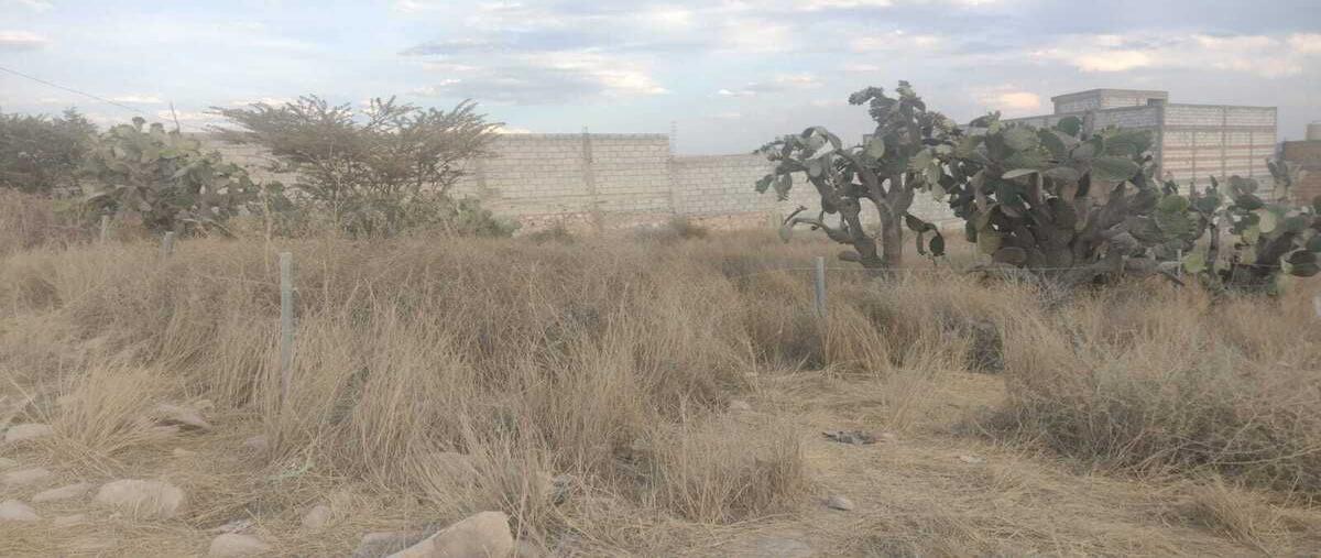 Foto de terreno habitacional en venta en  , fraccionamiento la cantera, san josé iturbide, guanajuato, 0 No. 05