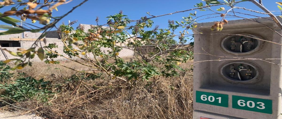 Foto de terreno habitacional en venta en fraccionamiento la castilla manz. 1 8, capulines, san luis potosí, san luis potosí, 30278035 No. 05