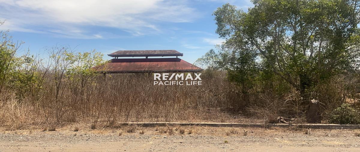 Foto de terreno habitacional en fraccionamiento la enrramada , mármol, mazatlán, sinaloa, 29498489 foto 01 Foto de terreno habitacional en venta en fraccionamiento la enrramada , mármol, mazatlán, sinaloa, 29498489 No. 01