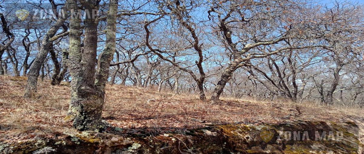 Foto de terreno habitacional en venta en  , fraccionamiento la querencia, león, guanajuato, 30411878 No. 03