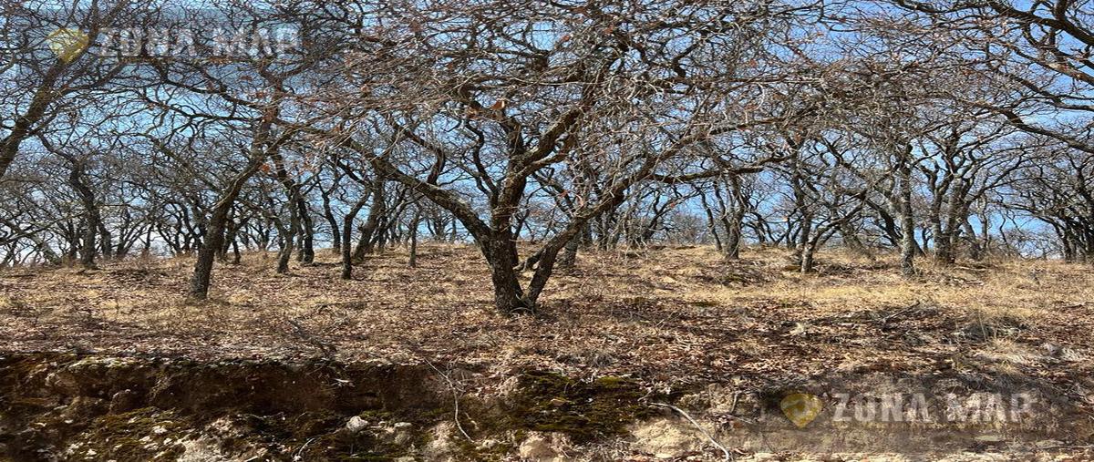 Foto de terreno habitacional en venta en  , fraccionamiento la querencia, león, guanajuato, 30411878 No. 05