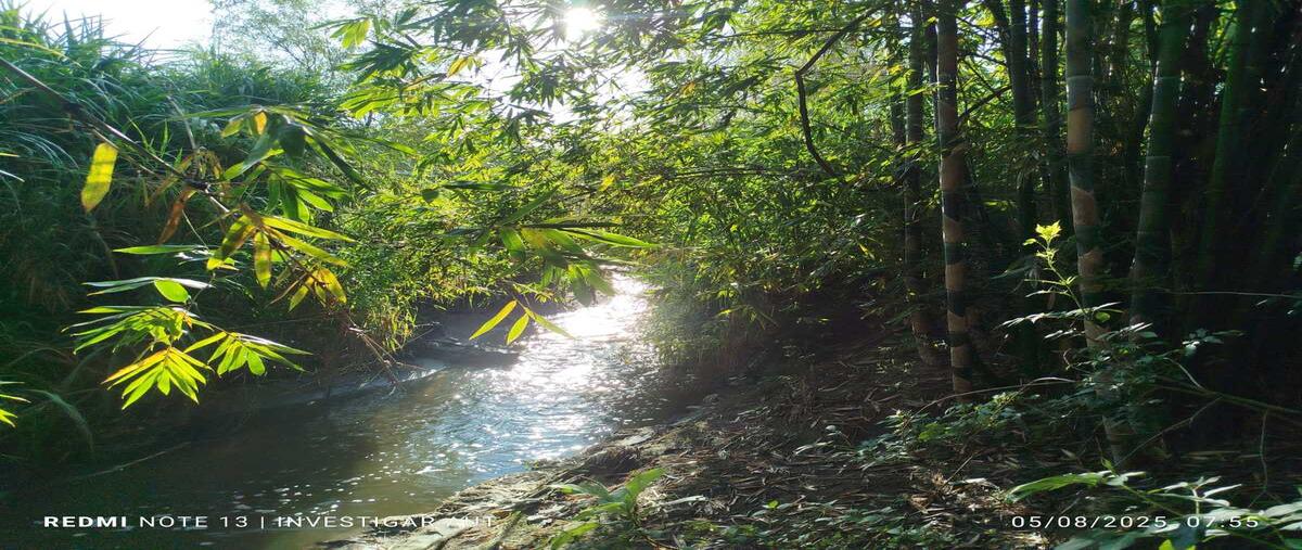 Foto de terreno habitacional en fraccionamiento las tortugas , el arenal, el arenal, jalisco, 0 foto 01 Foto de terreno habitacional en venta en fraccionamiento las tortugas , el arenal, el arenal, jalisco, 0 No. 01