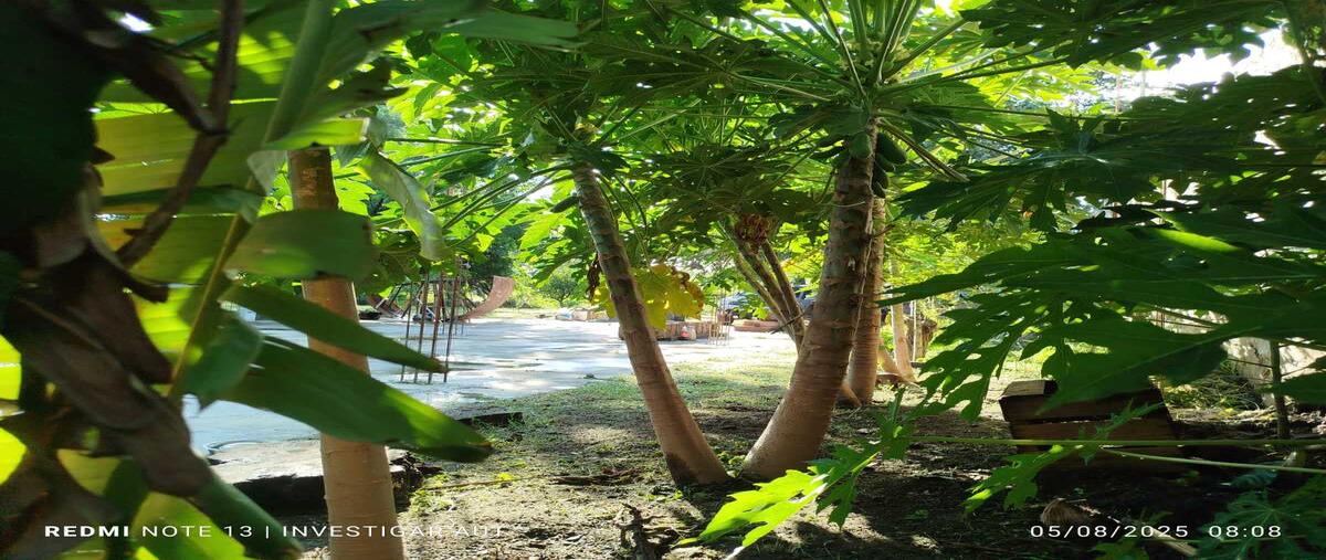 Foto de terreno habitacional en fraccionamiento las tortugas , el arenal, el arenal, jalisco, 0 foto 03 Foto de terreno habitacional en venta en fraccionamiento las tortugas , el arenal, el arenal, jalisco, 0 No. 03