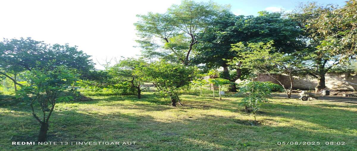 Foto de terreno habitacional en fraccionamiento las tortugas , el arenal, el arenal, jalisco, 0 foto 05 Foto de terreno habitacional en venta en fraccionamiento las tortugas , el arenal, el arenal, jalisco, 0 No. 05