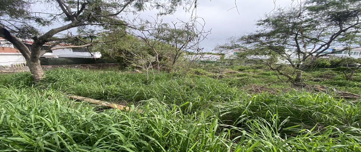 Foto de terreno habitacional en venta en fraccionamiento lomas de cocoyoc , lomas de cocoyoc, atlatlahucan, morelos, 30527049 No. 03