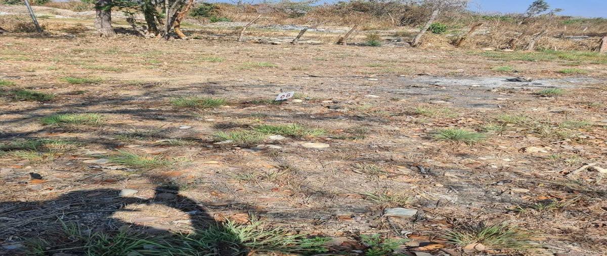 Foto de terreno habitacional en fraccionamiento los cedros , loma bonita, tuxtla gutiérrez, chiapas, 24484528 foto 03 Foto de terreno habitacional en venta en fraccionamiento los cedros , loma bonita, tuxtla gutiérrez, chiapas, 24484528 No. 03