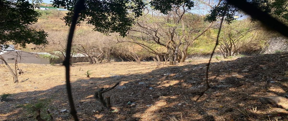 Foto de terreno habitacional en venta en fraccionamiento , palmira tinguindin, cuernavaca, morelos, 0 No. 03
