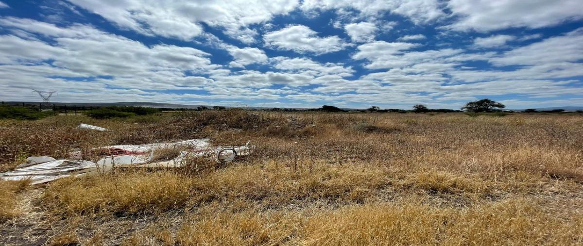 Foto de terreno industrial en venta en fraccionamiento parcela 62-z , san isidro del llanito, apaseo el alto, guanajuato, 27384653 No. 04