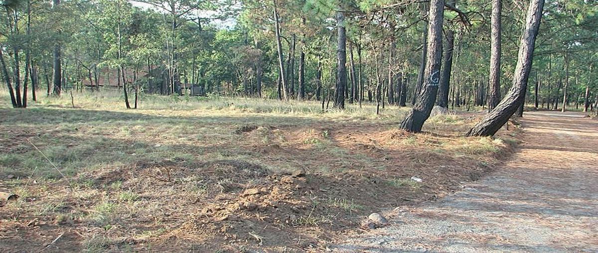 Foto de terreno habitacional en venta en fraccionamiento "pinos de mazamitla" , mazamitla, mazamitla, jalisco, 18572412 No. 02
