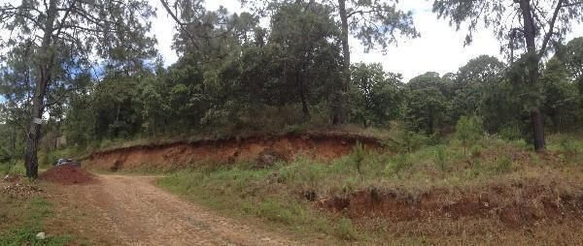 Foto de terreno habitacional en venta en fraccionamiento "pinos de mazamitla" , mazamitla, mazamitla, jalisco, 18572412 No. 04