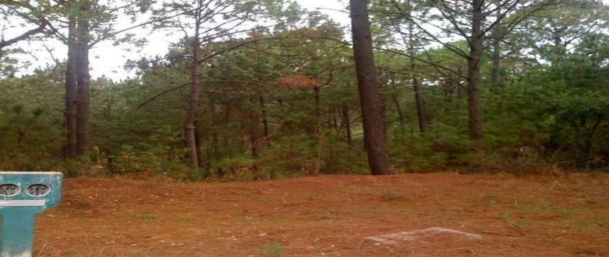 Foto de terreno habitacional en venta en fraccionamiento "pinos de mazamitla" , mazamitla, mazamitla, jalisco, 18572412 No. 05