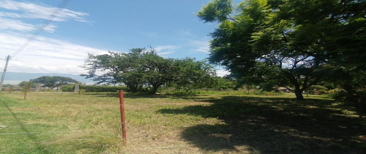 Foto de terreno habitacional en venta en fraccionamiento puerto corona lote 169, san luis soyatlan, tuxcueca, jalisco, 30346546 No. 03