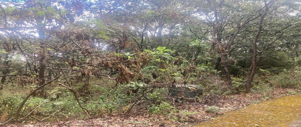 Foto de terreno habitacional en venta en fraccionamiento reserva de los encinos , teuchitlán, teuchitlán, jalisco, 0 No. 03