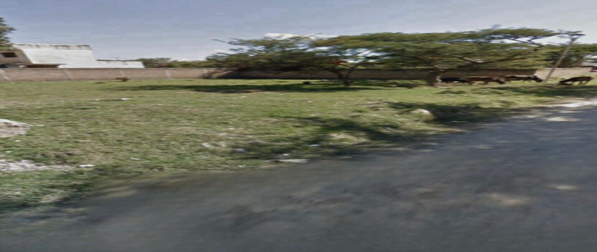 Foto de terreno habitacional en venta en fraccionamiento , residencial las flores, comitán de domínguez, chiapas, 24600755 No. 04