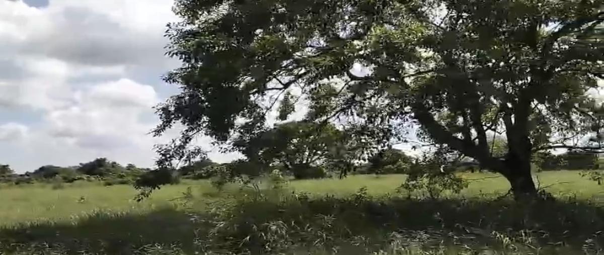 Foto de terreno habitacional en venta en fraccionamiento rústico jerico , nuevo pijijiapan, pijijiapan, chiapas, 29917129 No. 05