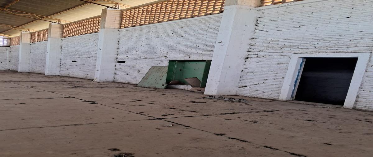 Foto de nave industrial en venta en fraccionamiento san carlos sur , san agustín de los puentes, pabellón de arteaga, aguascalientes, 0 No. 05