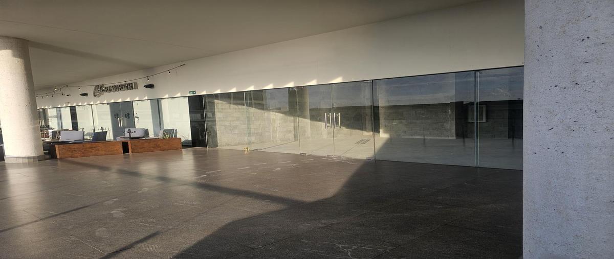 Foto de local en renta en  , fraccionamiento san isidro, saltillo, coahuila de zaragoza, 0 No. 05