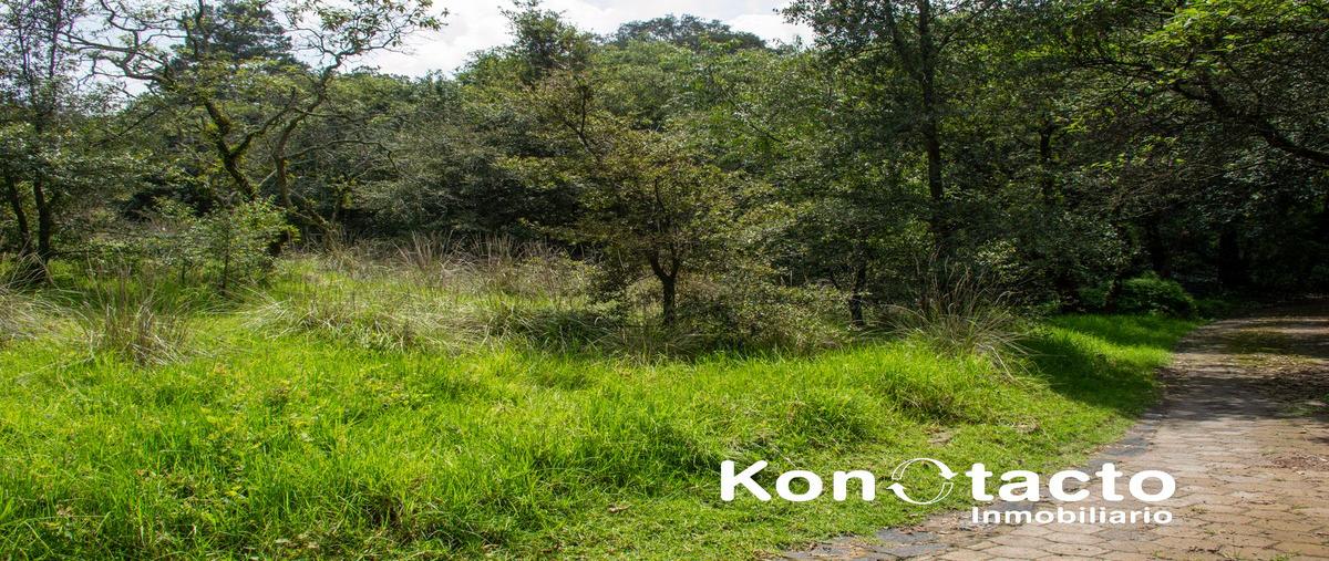 Foto de terreno habitacional en venta en fraccionamiento tlalpuente , san andrés totoltepec, tlalpan, df / cdmx, 30231698 No. 05