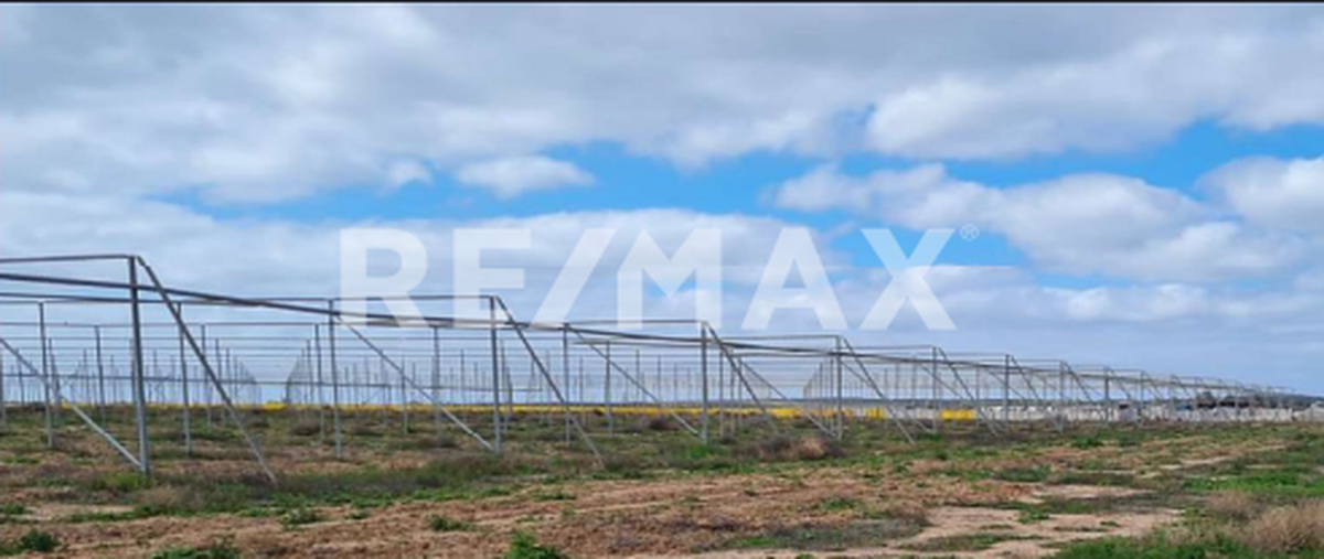 Foto de terreno comercial en venta en fraccionamiento valle de san quintin , valle de san quintín, ensenada, baja california, 0 No. 05