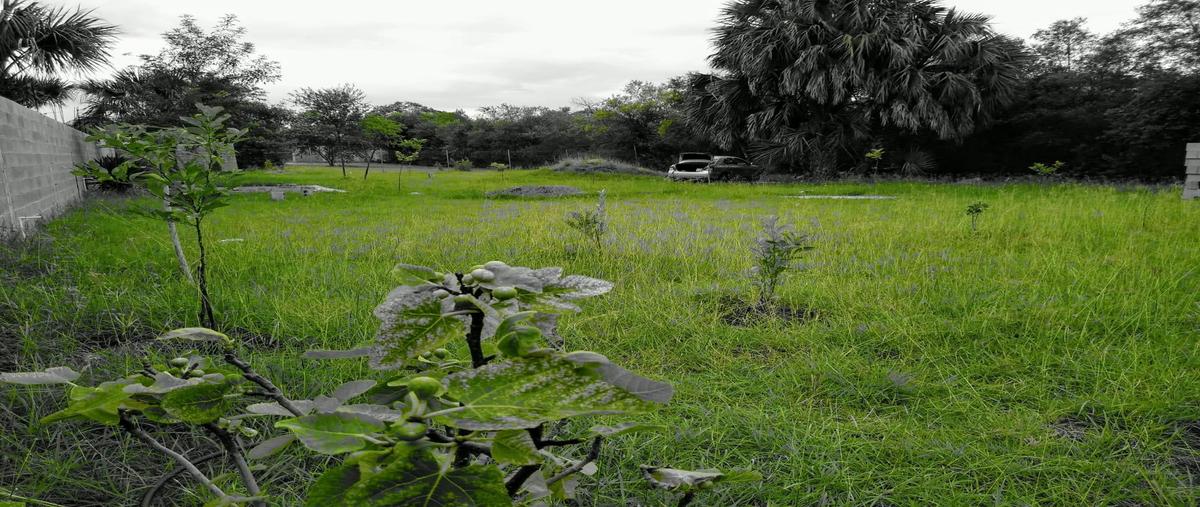 Foto de terreno habitacional en venta en  , fraccionamiento valle del roble, cadereyta jiménez, nuevo león, 0 No. 05