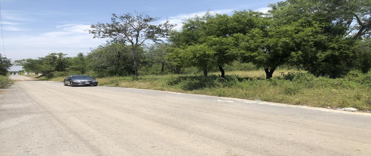 Foto de casa en venta en  , fraccionamiento valle del roble, cadereyta jiménez, nuevo león, 30124495 No. 03