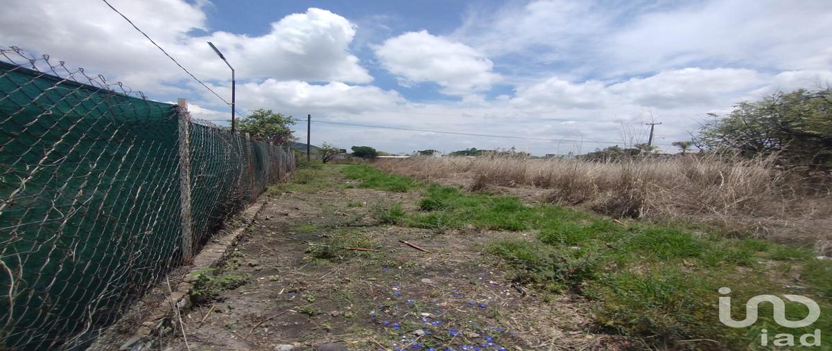 Foto de terreno habitacional en venta en fraccionamiento venadito 75, ampliación plan de ayala, cuautla, morelos, 29992485 No. 05