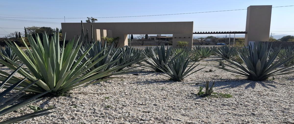 Foto de terreno habitacional en venta en fraccionamiento vergel de la peña , bernal, ezequiel montes, querétaro, 30924287 No. 05