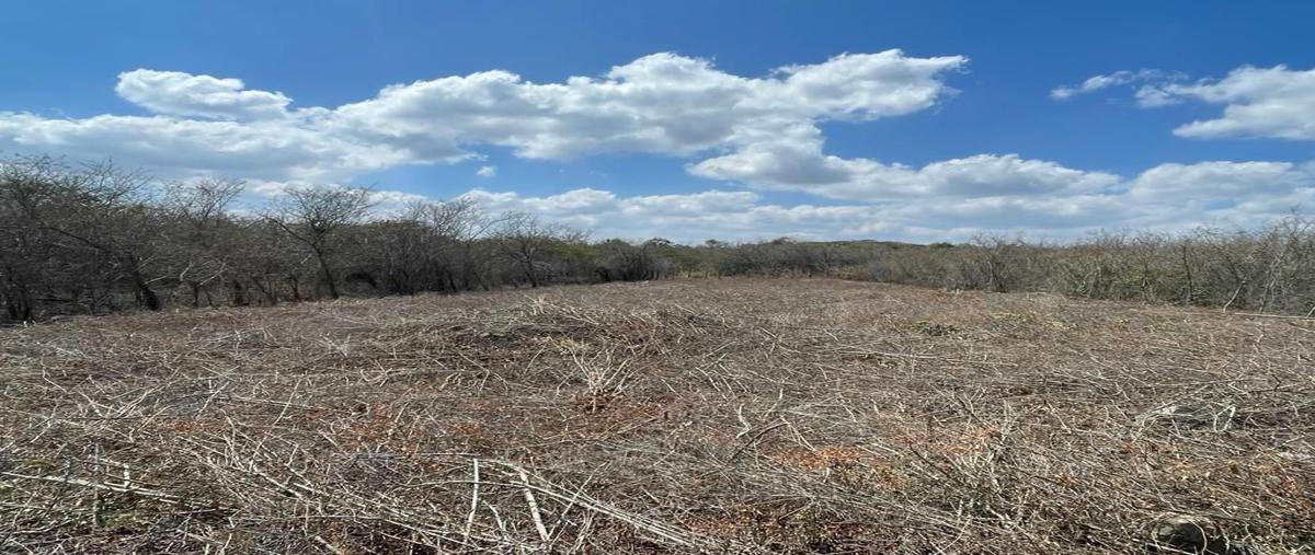 Foto de terreno habitacional en venta en fraccionamiento villa palomas , berriozabal centro, berriozábal, chiapas, 27565626 No. 03