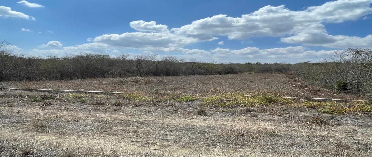 Foto de terreno habitacional en venta en fraccionamiento villa palomas , berriozabal centro, berriozábal, chiapas, 27565626 No. 05