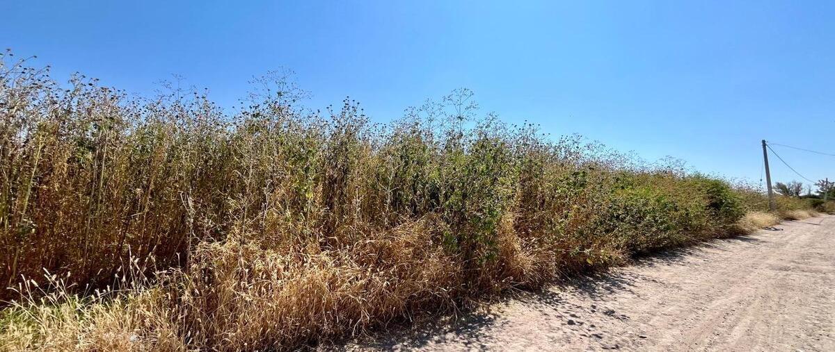 Foto de terreno habitacional en venta en  , fracciones de los arcos, león, guanajuato, 28760825 No. 03