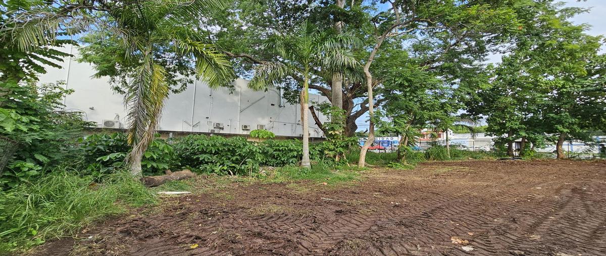 Foto de terreno habitacional en , framboyanes, centro, tabasco, 30163981 foto 03 Foto de terreno habitacional en renta en , framboyanes, centro, tabasco, 30163981 No. 03