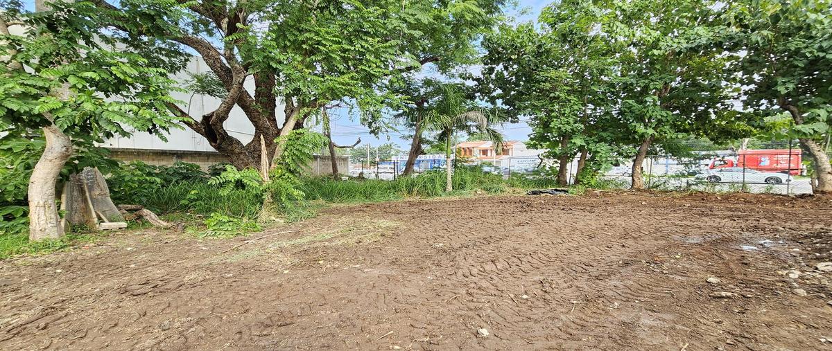 Foto de terreno habitacional en , framboyanes, centro, tabasco, 30163981 foto 04 Foto de terreno habitacional en renta en , framboyanes, centro, tabasco, 30163981 No. 04