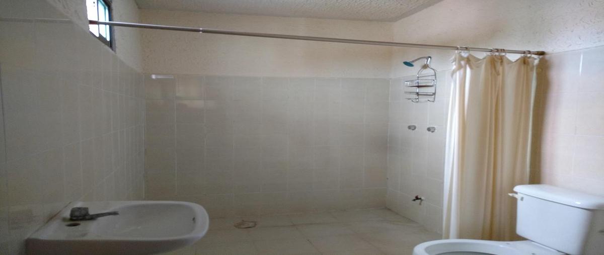 Foto de local en venta en  , framboyanes, othón p. blanco, quintana roo, 30299127 No. 03